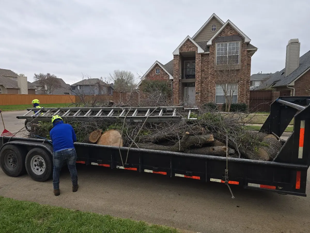 Expert Lot Clearing with proper safety equipment in Breckenridge